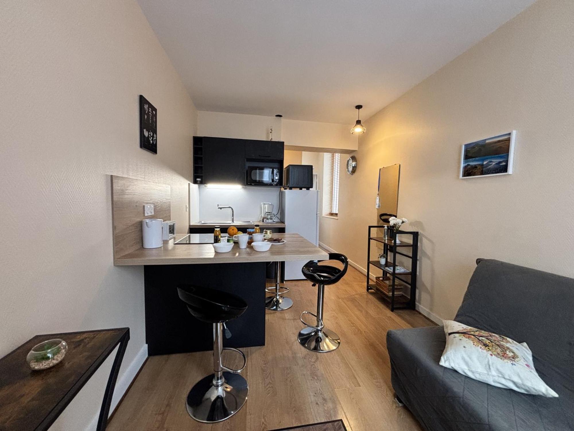 Le Puy De Dome - 1 Chambre - Clim Châtel-Guyon Dış mekan fotoğraf